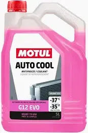 Motul AUTO COOL G12 EVO -37°C 5L Ready to Use Coolant Motul