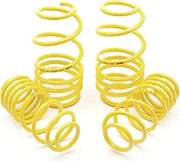 Abarth 500/595 Lowering Spring Kit